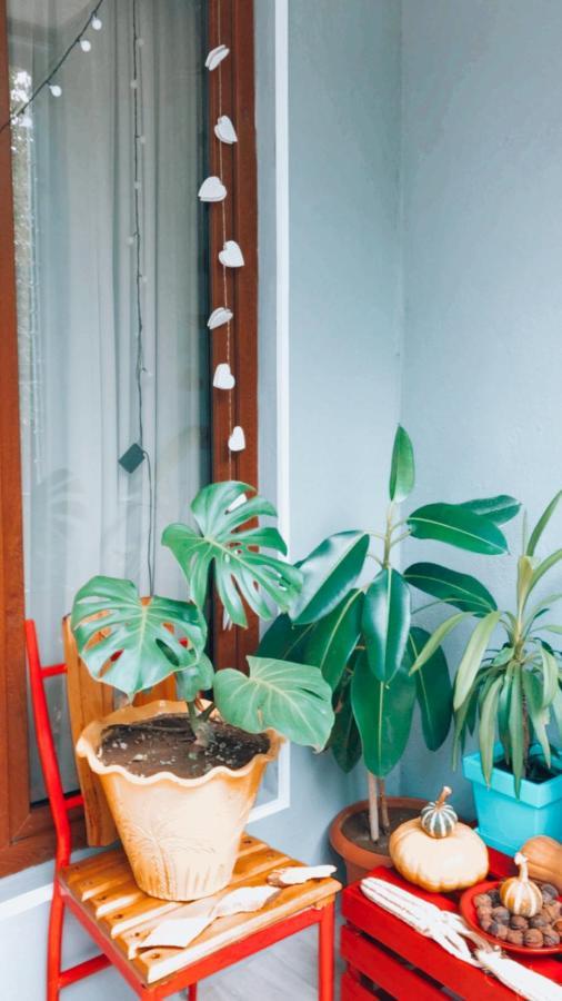Sweet Apartment In Κουτάισι Εξωτερικό φωτογραφία